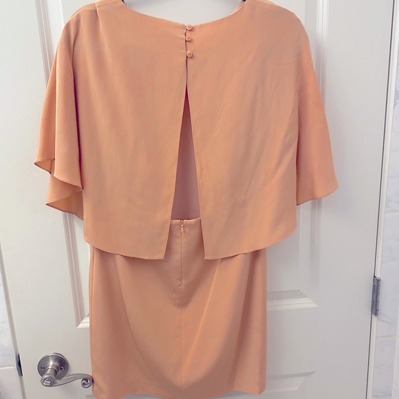 Blush Tibi Silk Cape dress - Picture 4 of 8